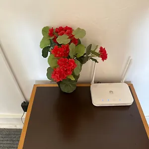 Rose View Portugal